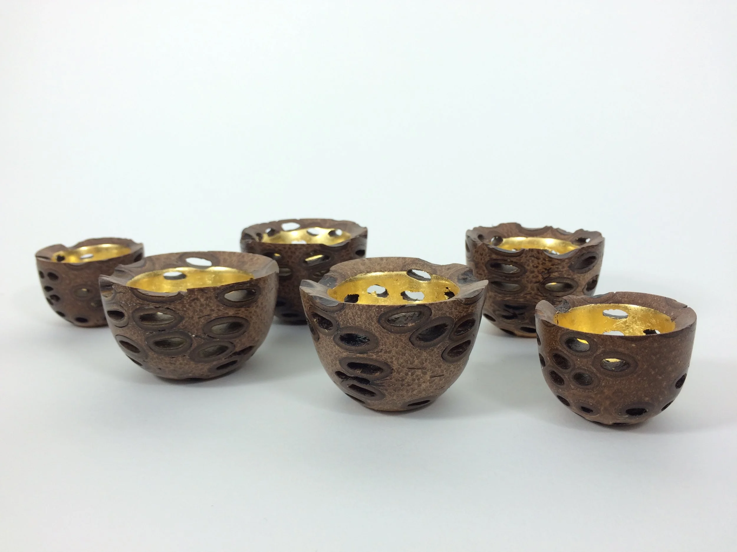 Banksia Nuts With Gold Inners