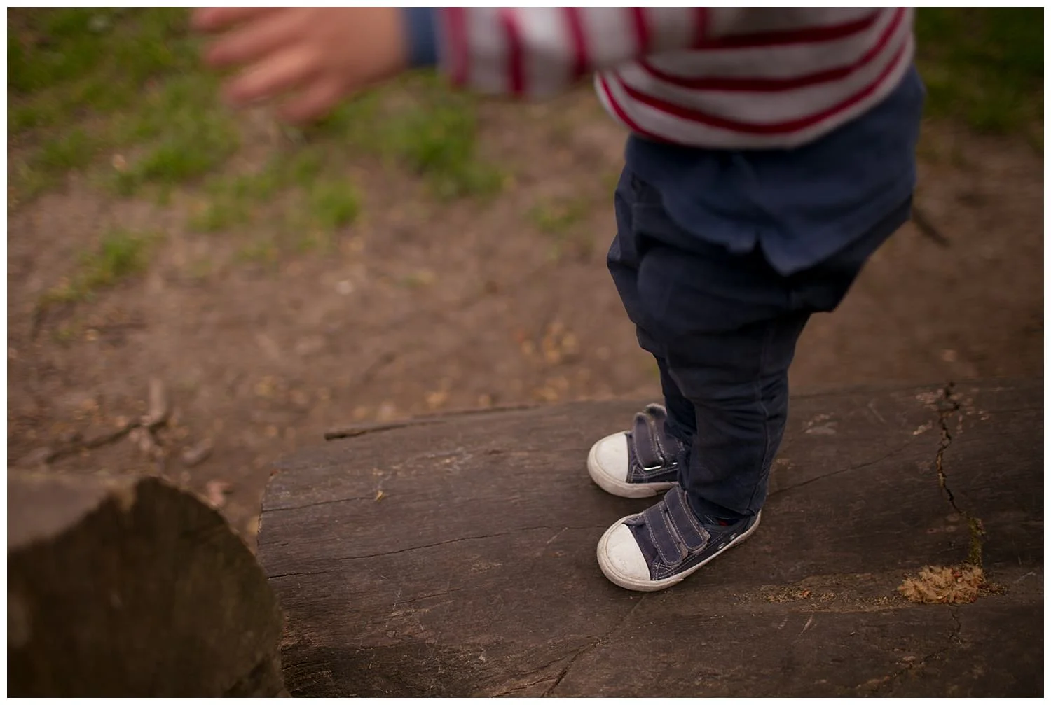 walthamstow-family-photography.jpg