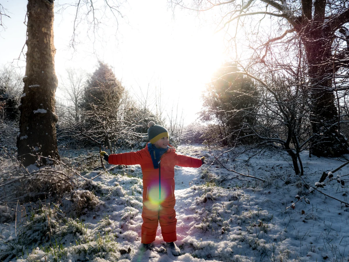 wanstead-park.jpg