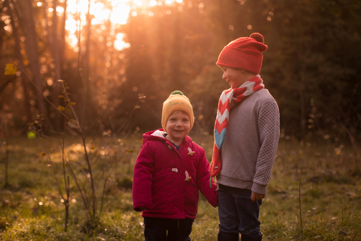 autumn-sunshine.jpg
