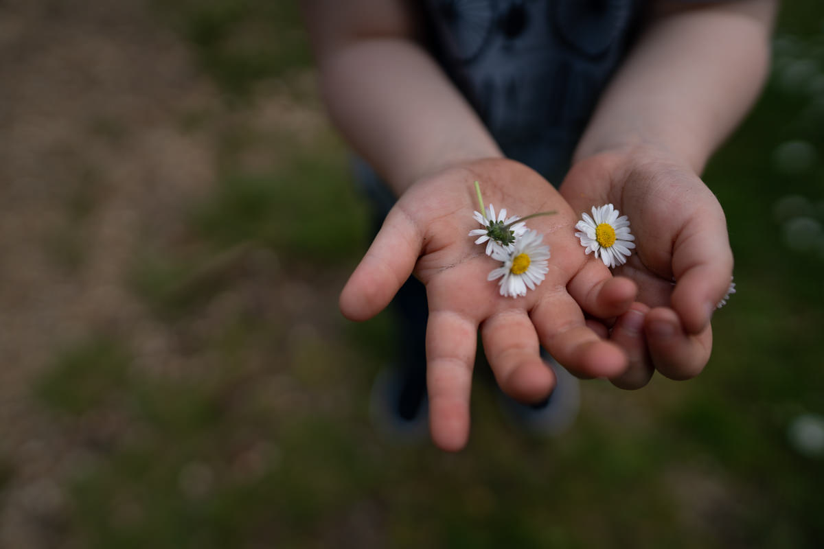 Fulham Family Photographer-1026.jpg