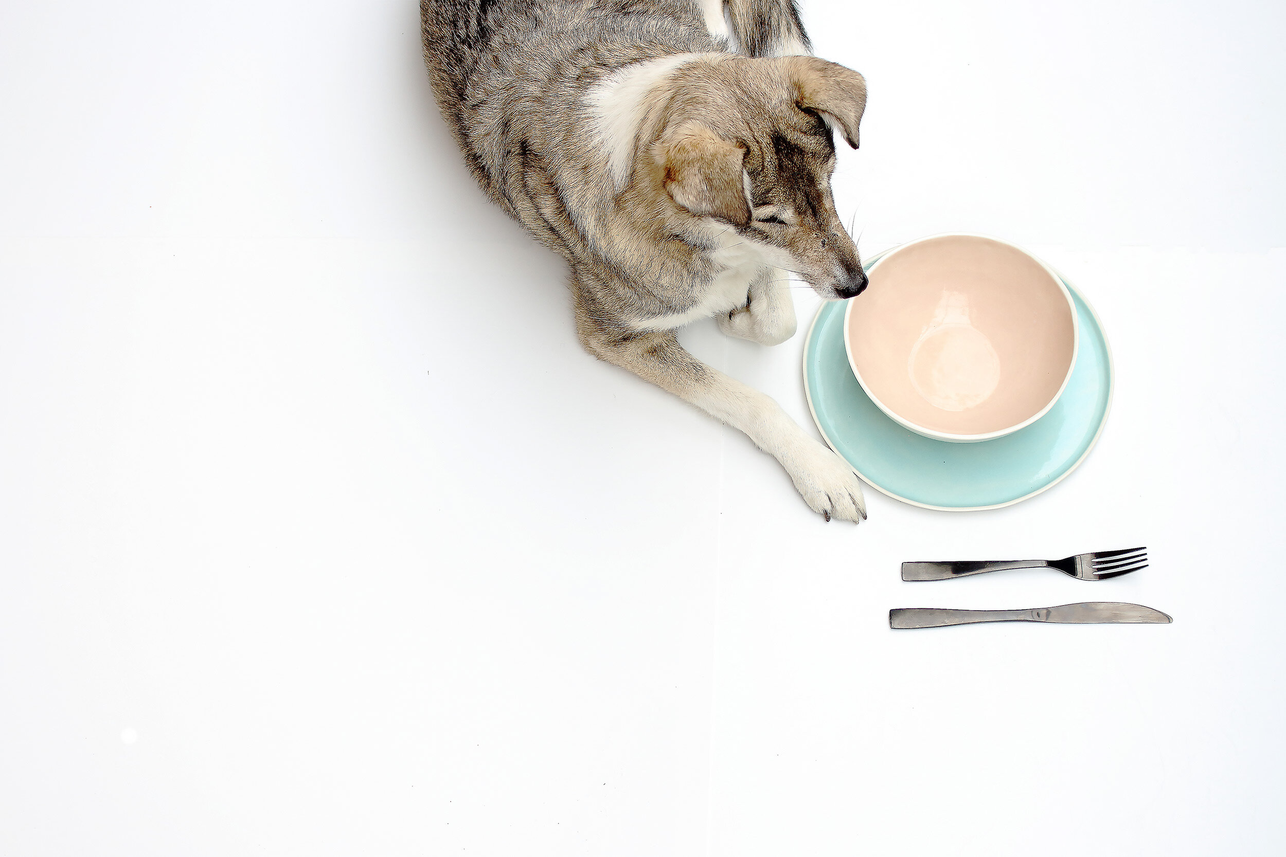 Pastellfarbige Bowl oder Schüssel, handgemacht in Wien