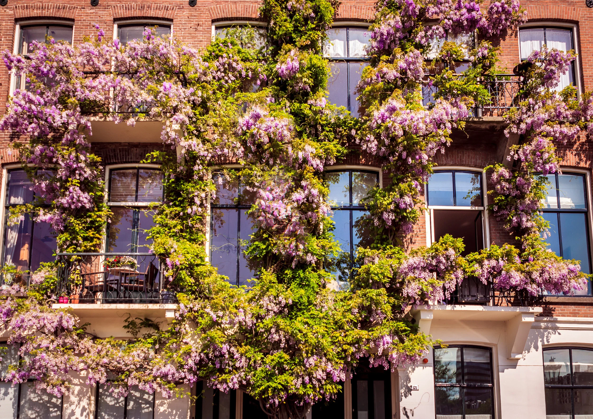 146 SPRING