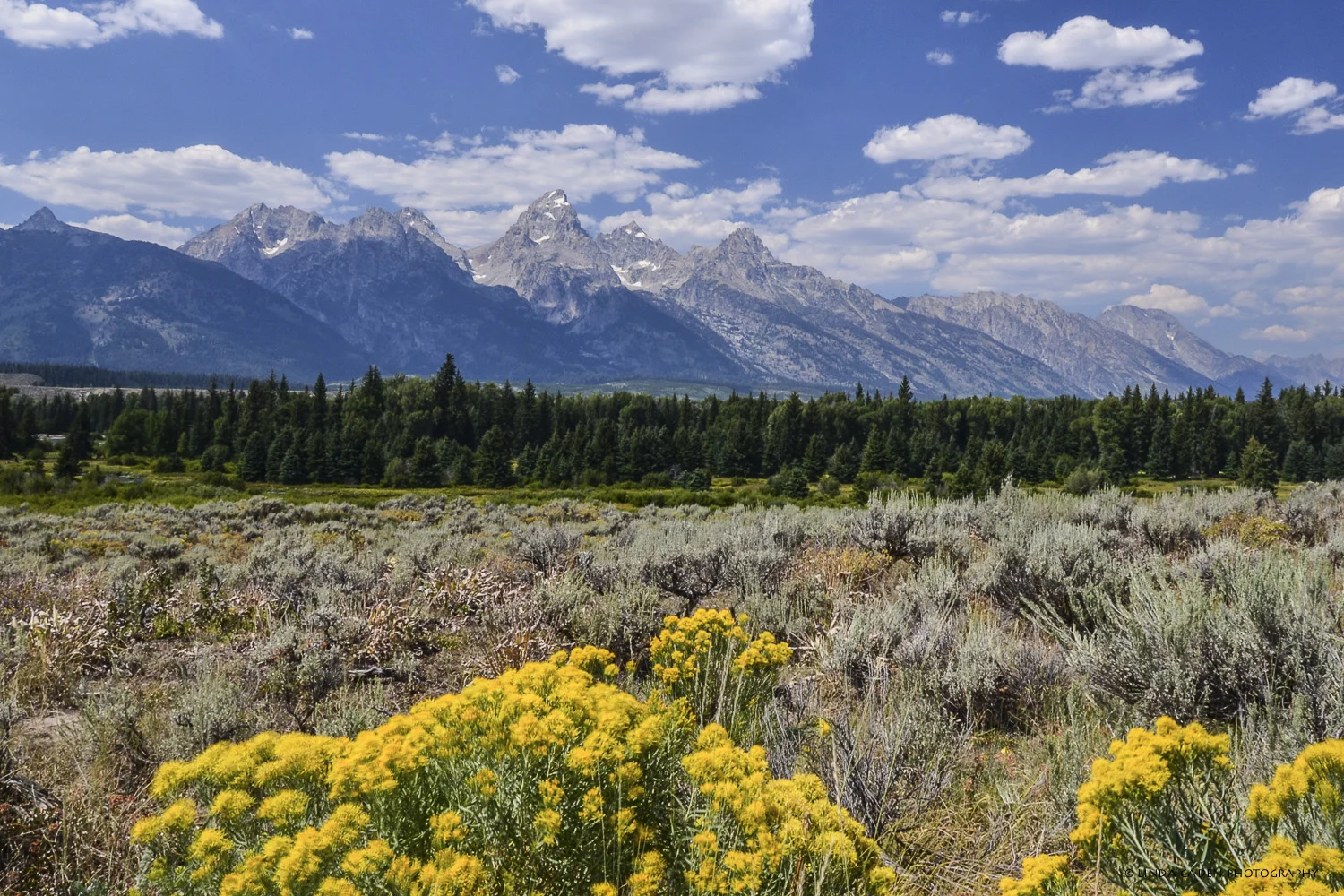 The Tetons