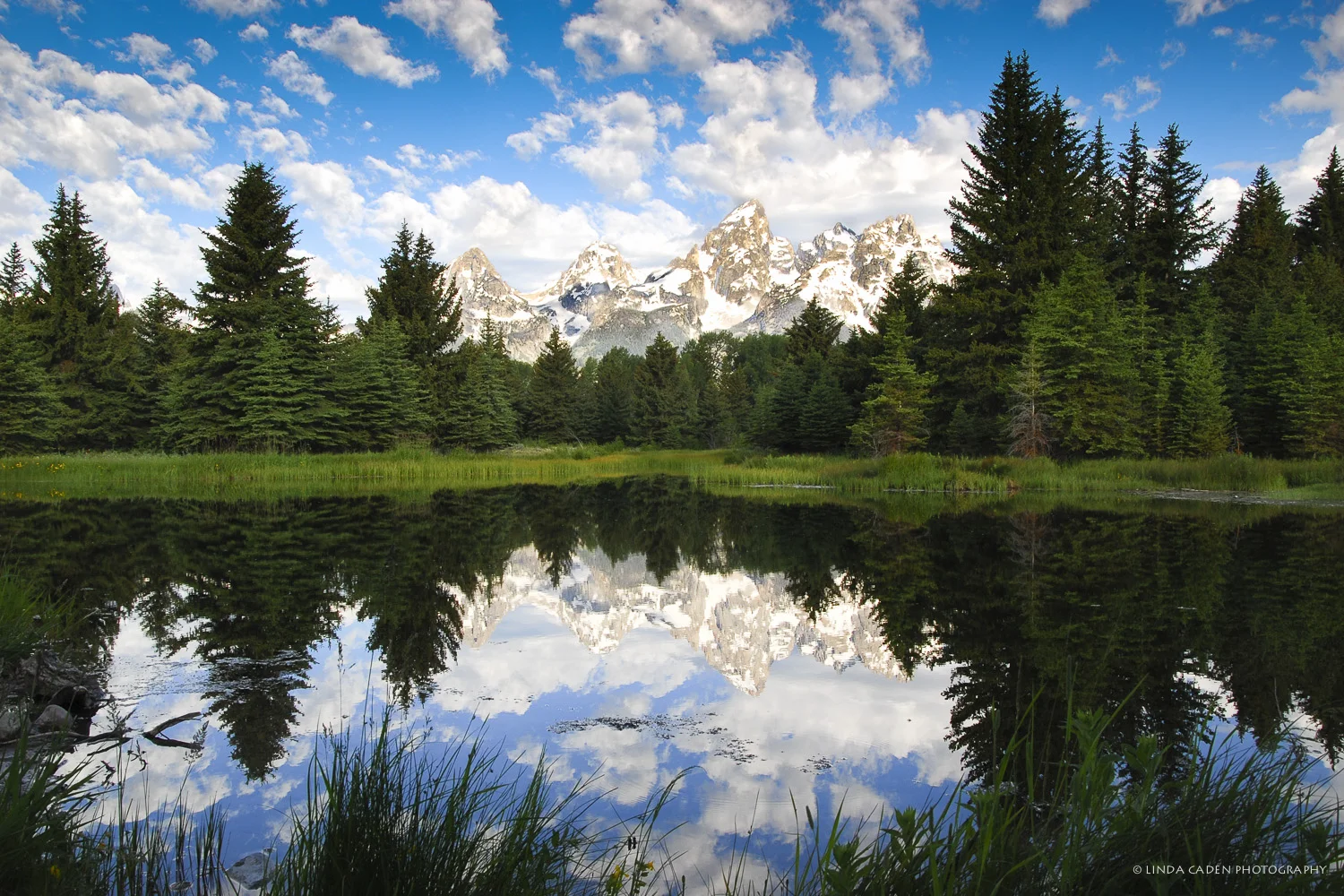 Schwabacher Landing