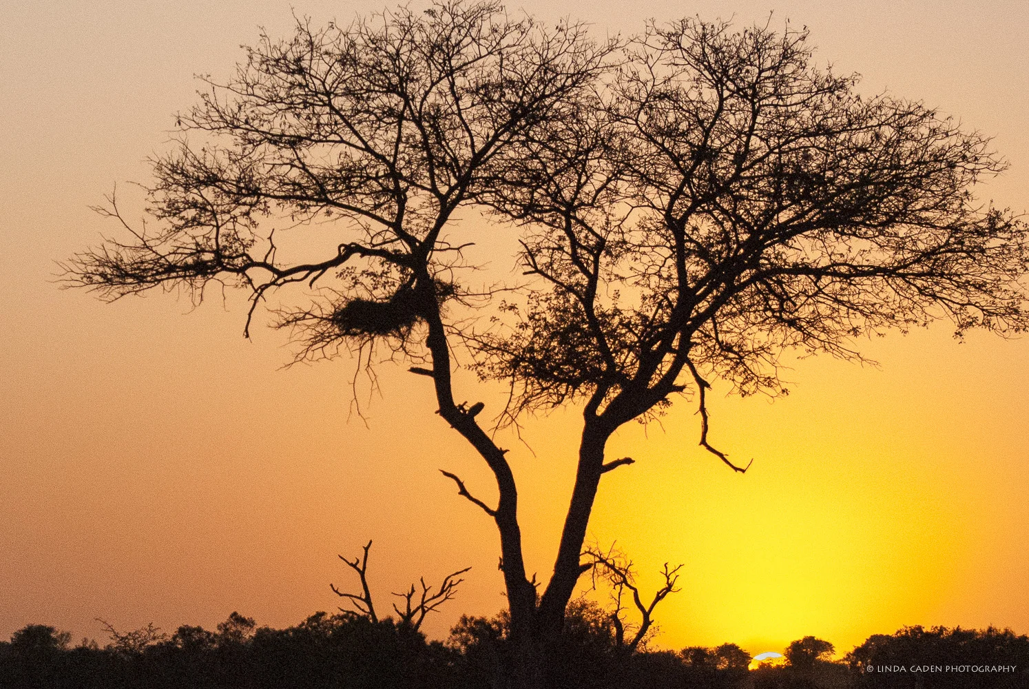 Africa-431.jpg