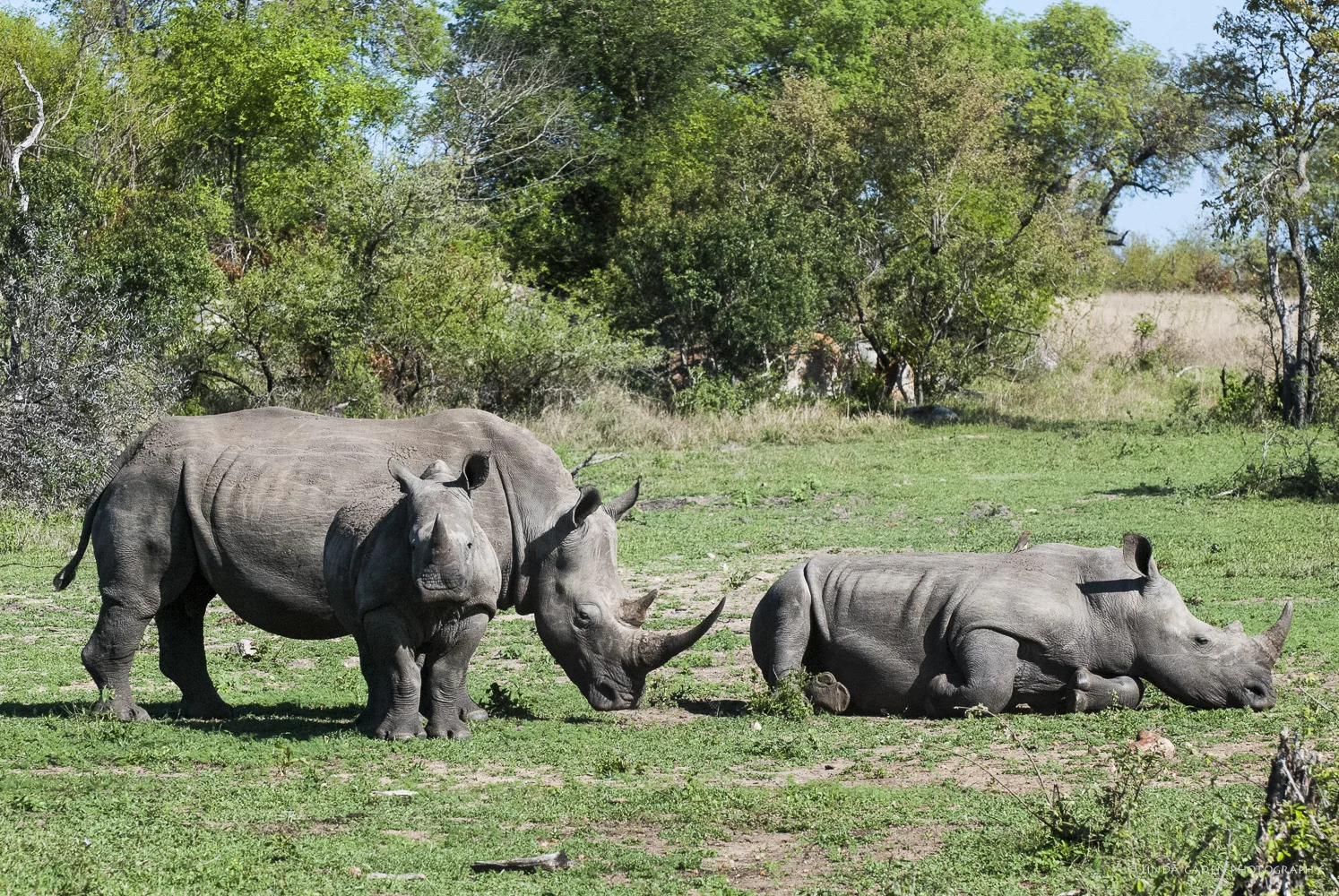 Africa-488.jpg