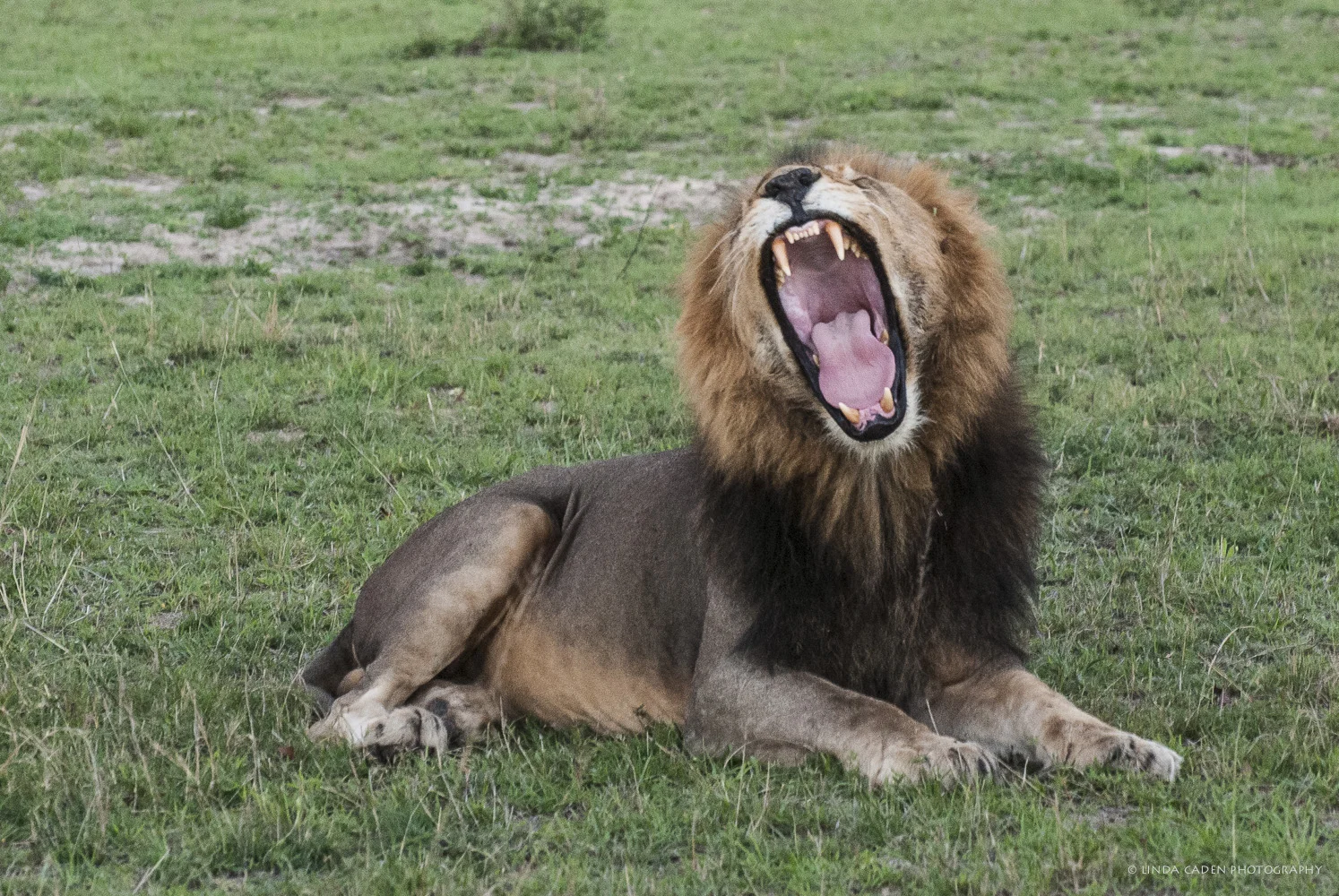Africa-587.jpg