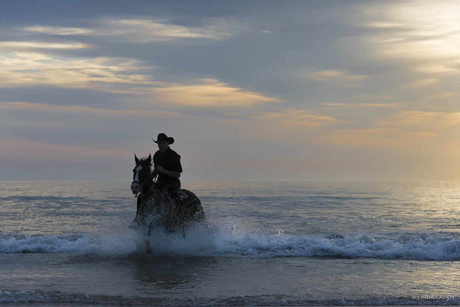 Horse-2563.jpg