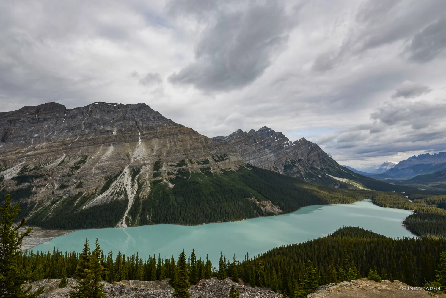 Peyto Lake, Canadian Rockies