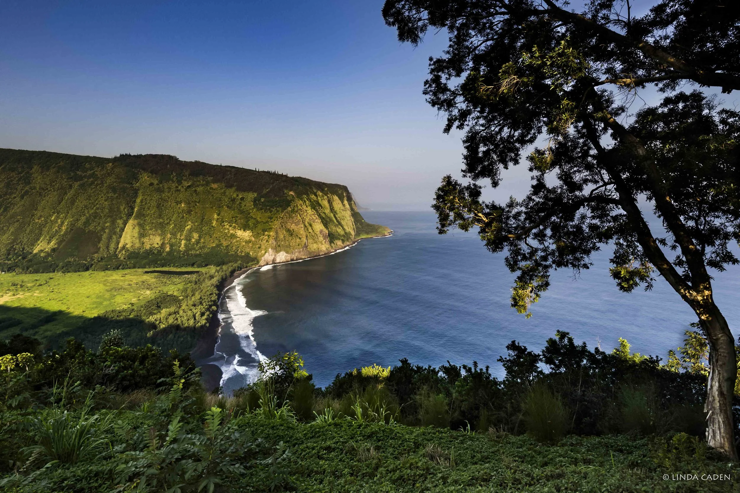 Waipio Valley