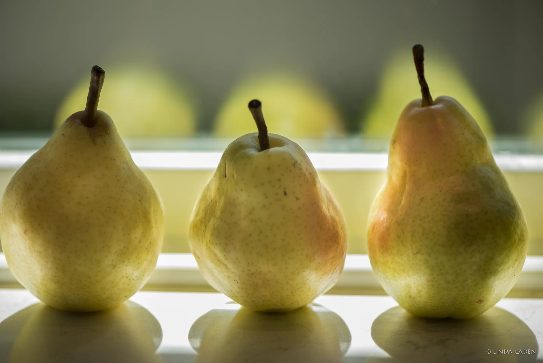 pears-5148-.jpg