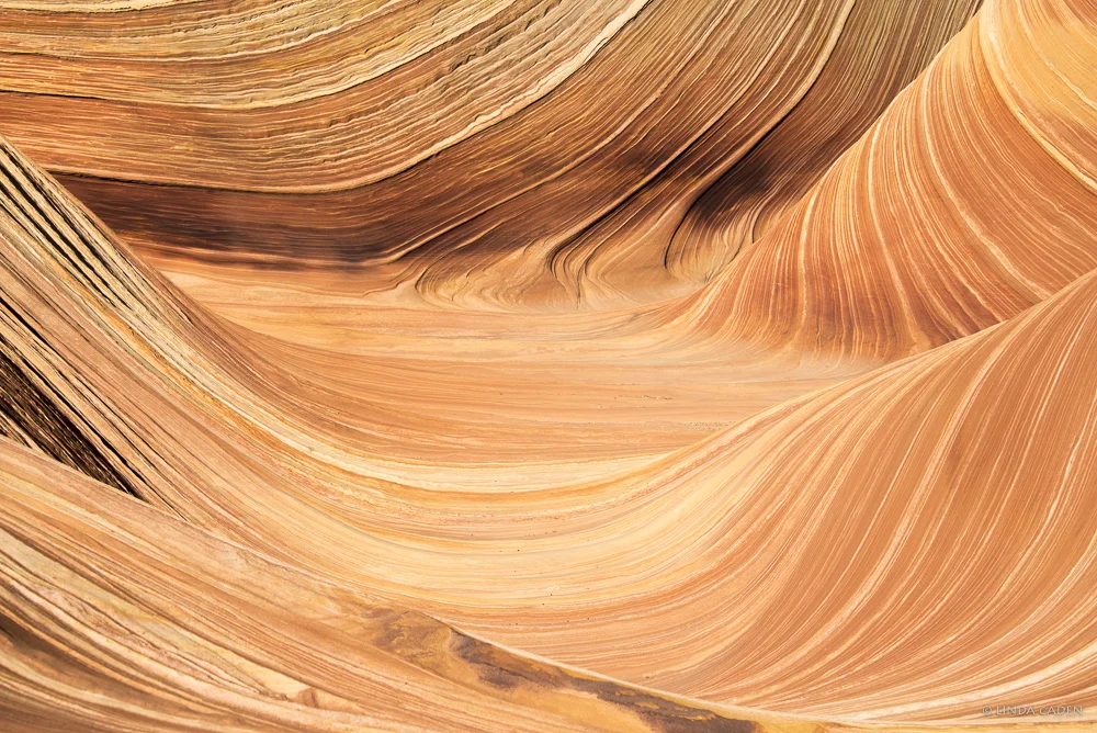 The Wave Abstract