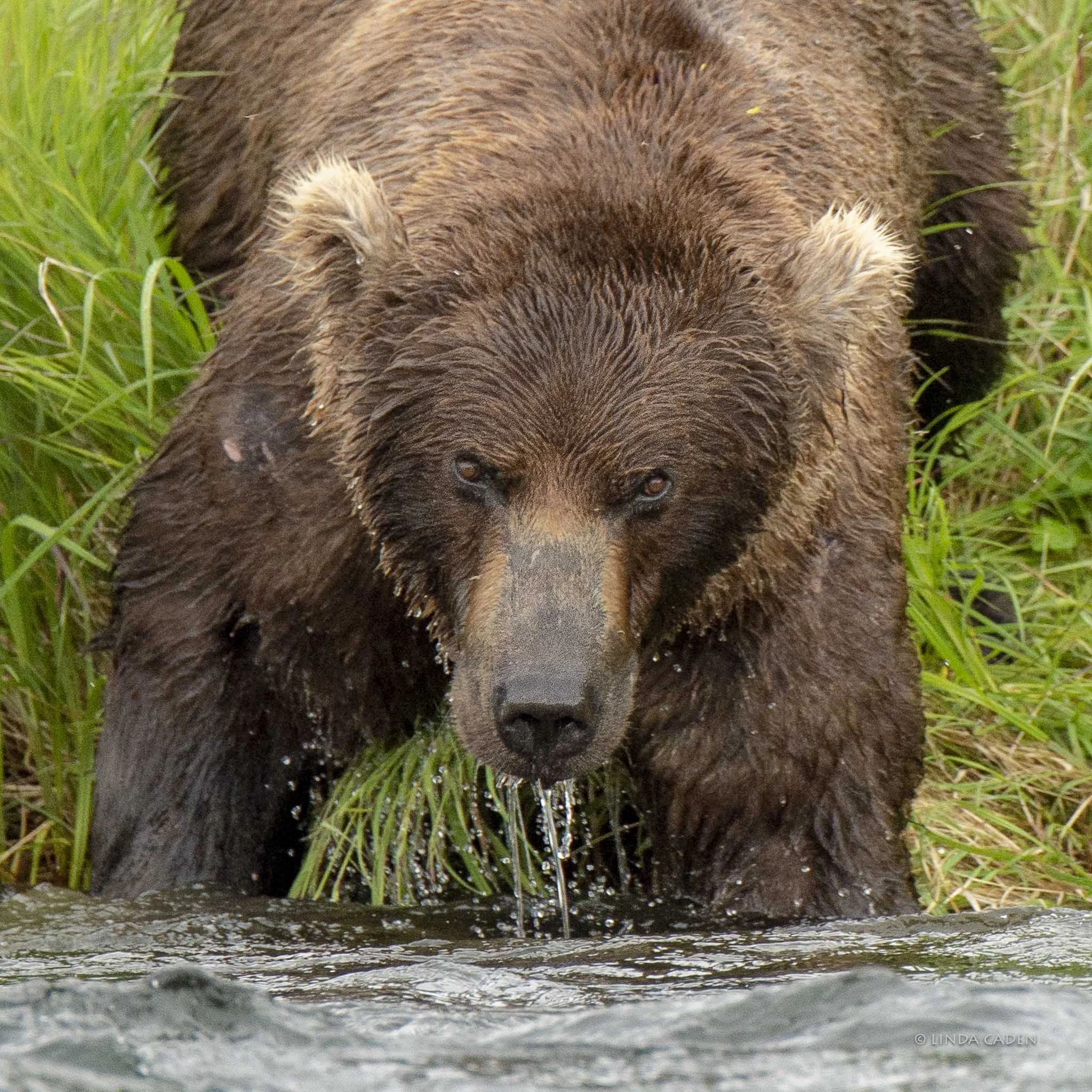 You lookin' at me?