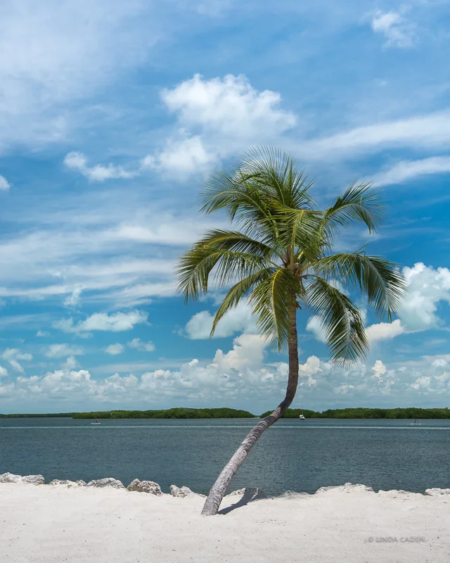 Islamorada--Bayside