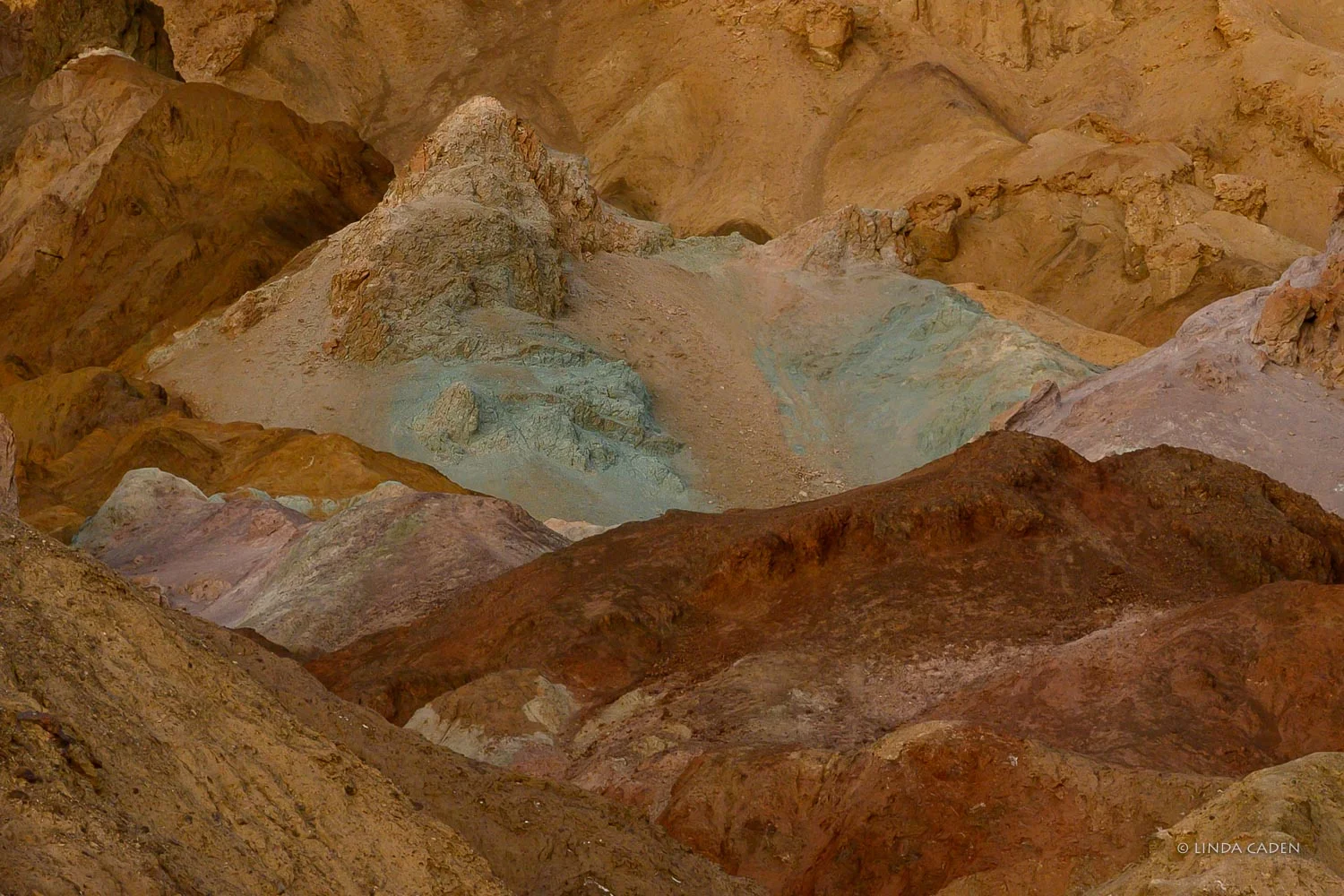 Artist's Palette