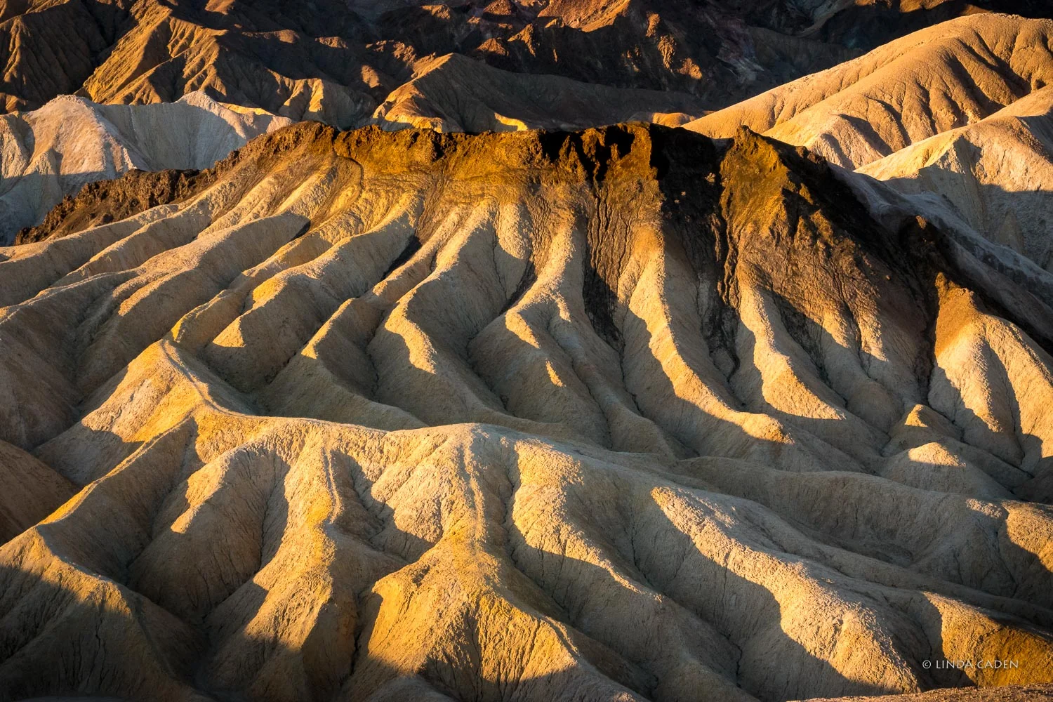 Rippled Arroyos