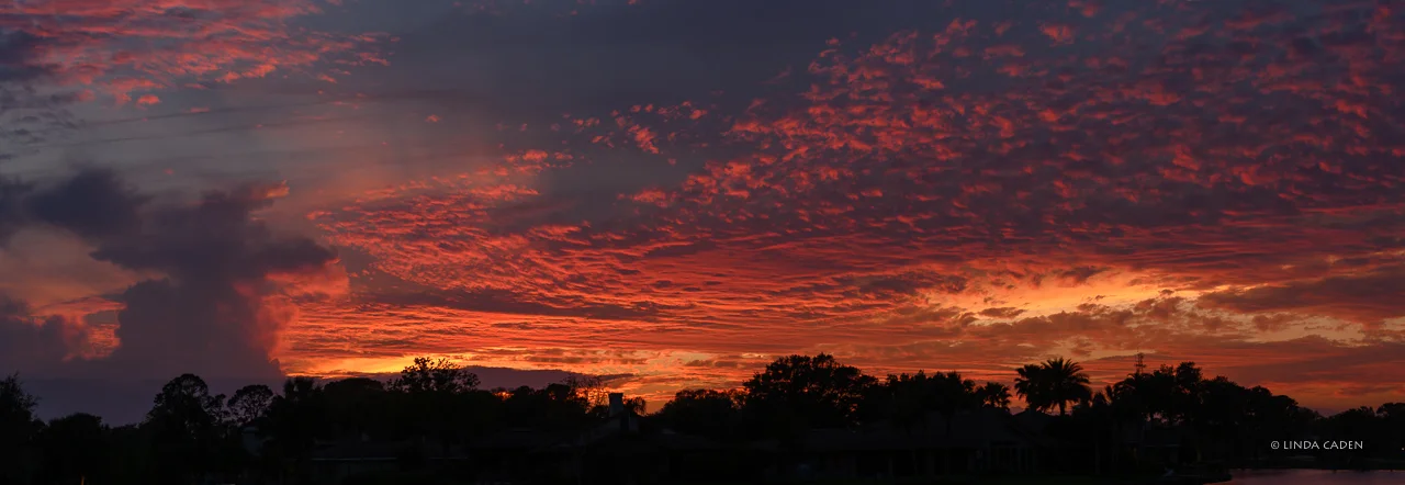 April Sunset