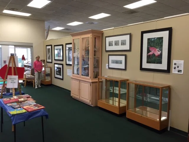 Library Installations