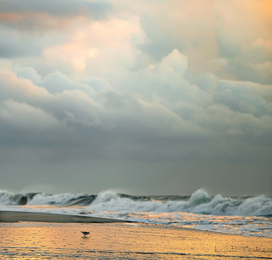 SanderClouds-8024.jpg
