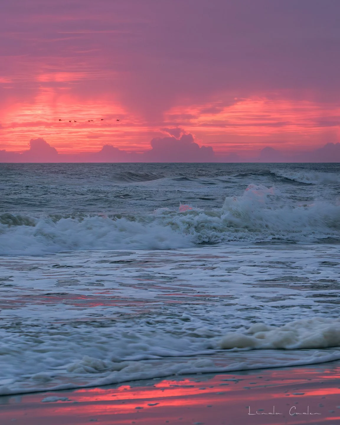 SunriseRed-OM-v-010836.jpg