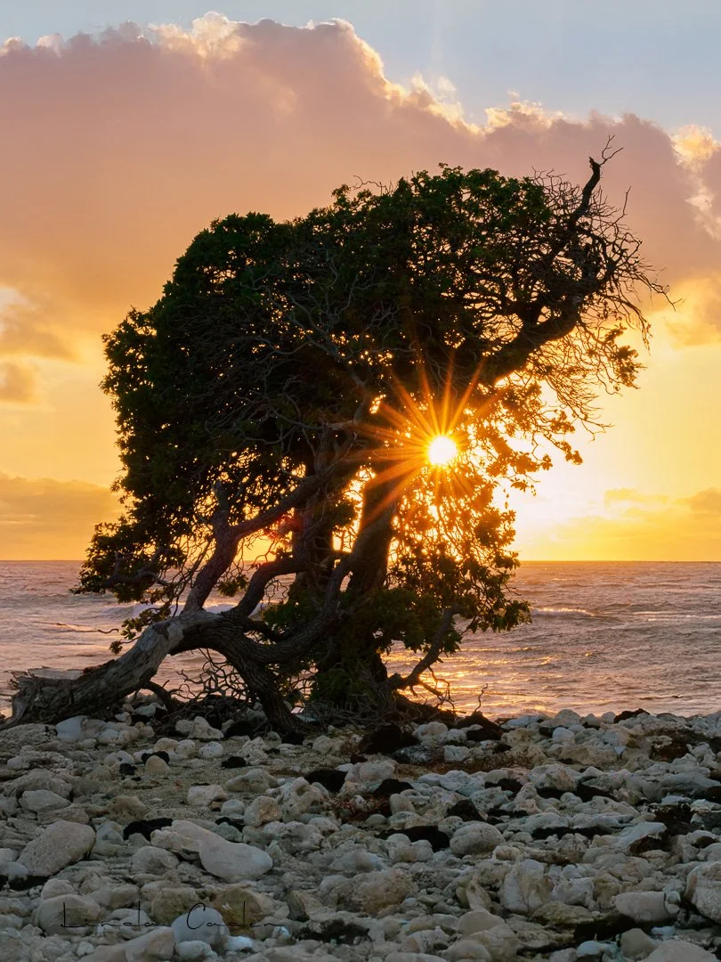 Last Light at Holoholokai Beach
