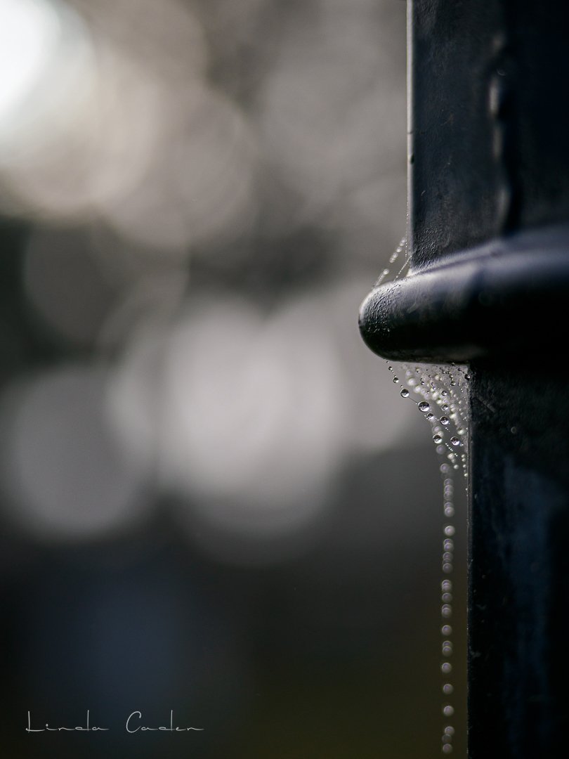 You might see crystals and pearls.