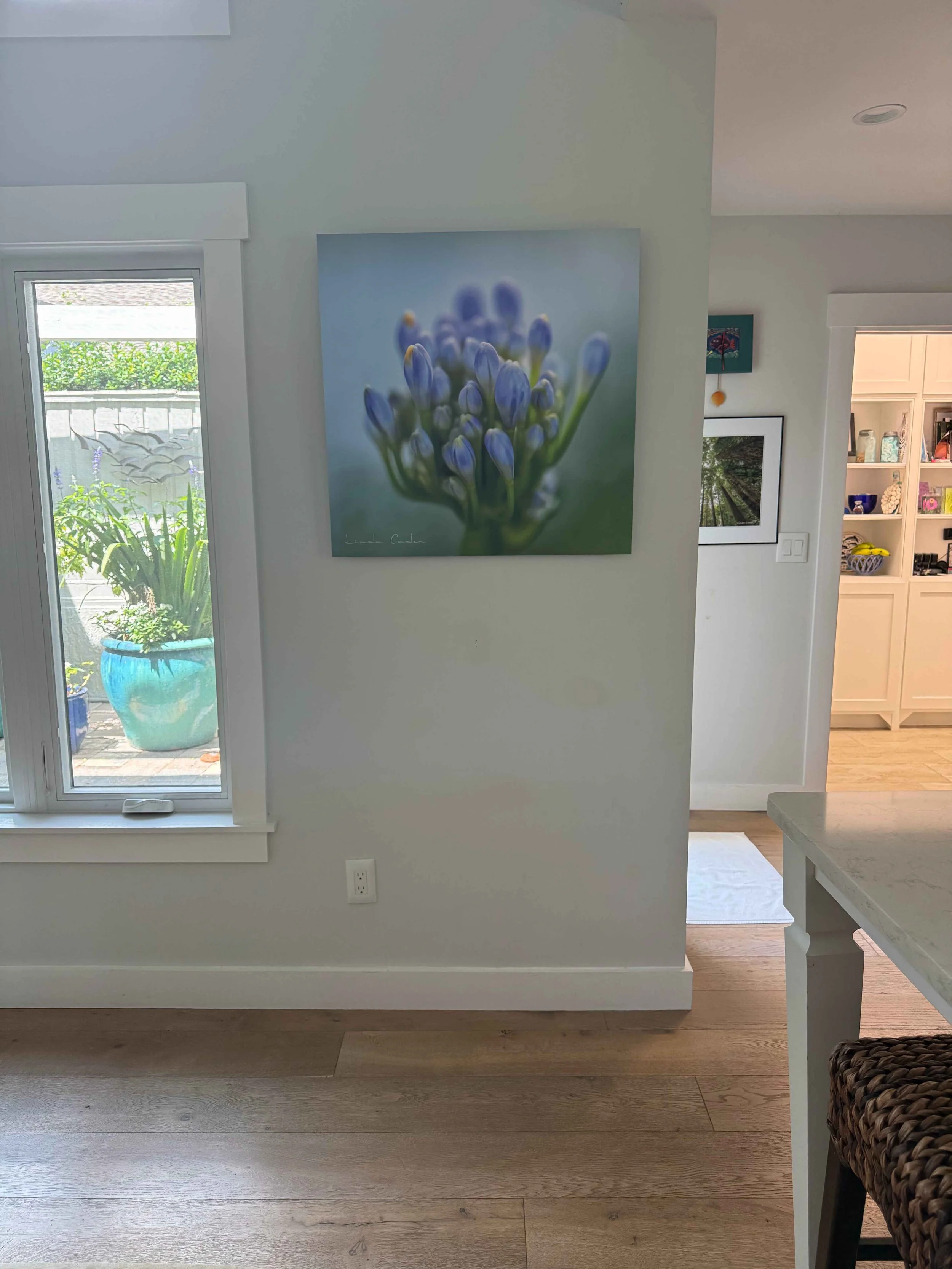 AgapanPrint30x30onwall.jpg