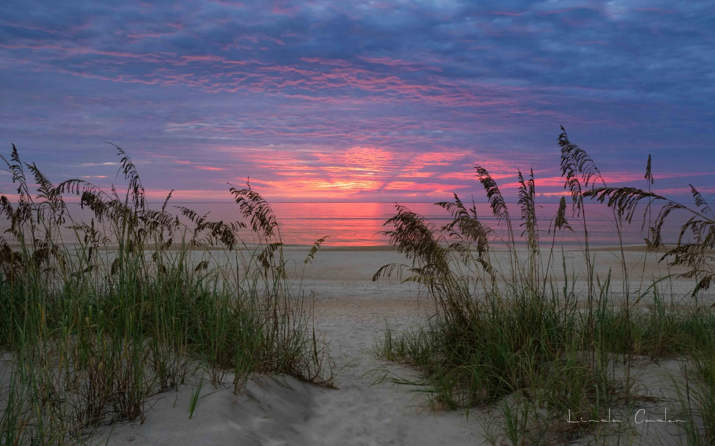 Sawgrass Sunrise Array