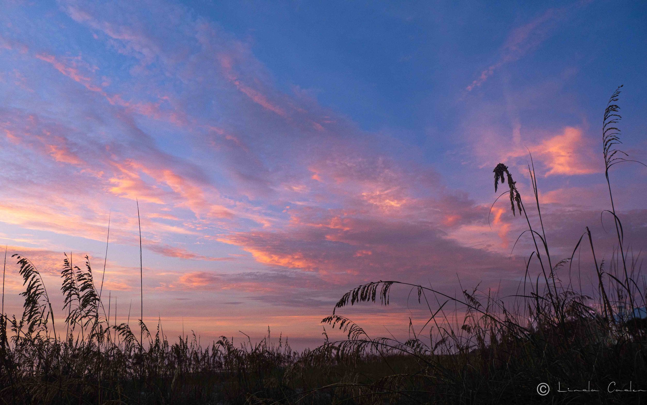 BeachSky-1014116.jpg
