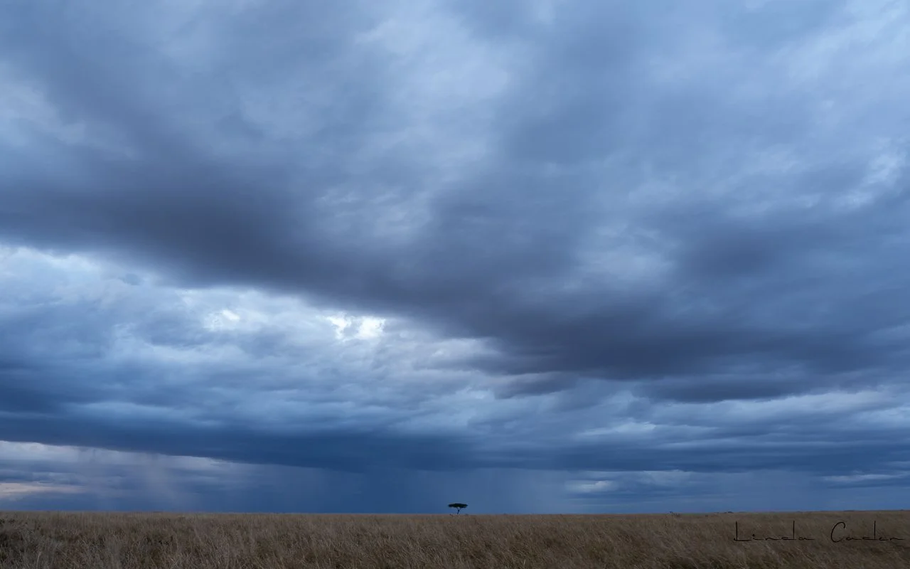 BlueStormSky-1870.jpg