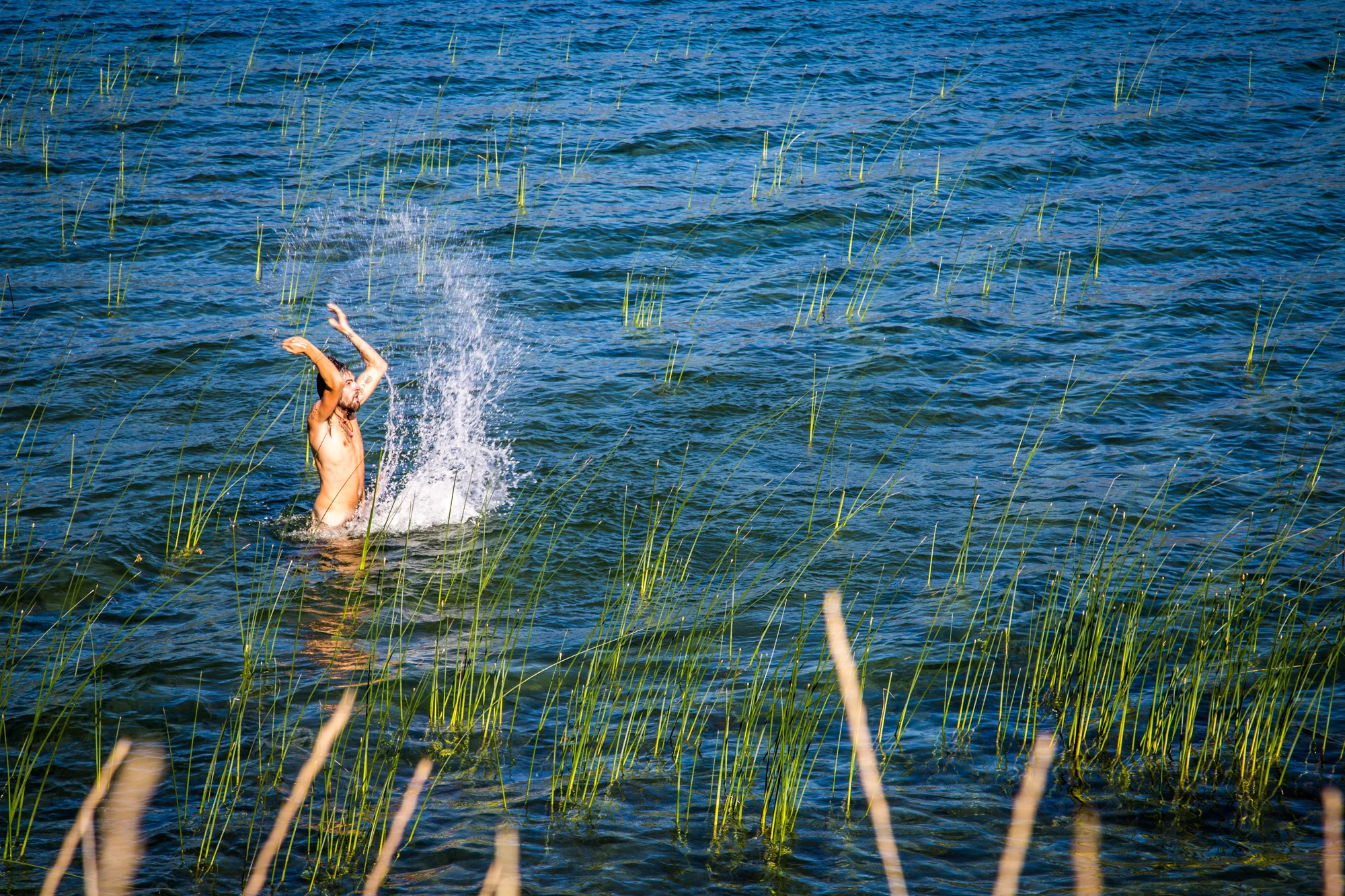 having a little swim next to the highway to Kelowna