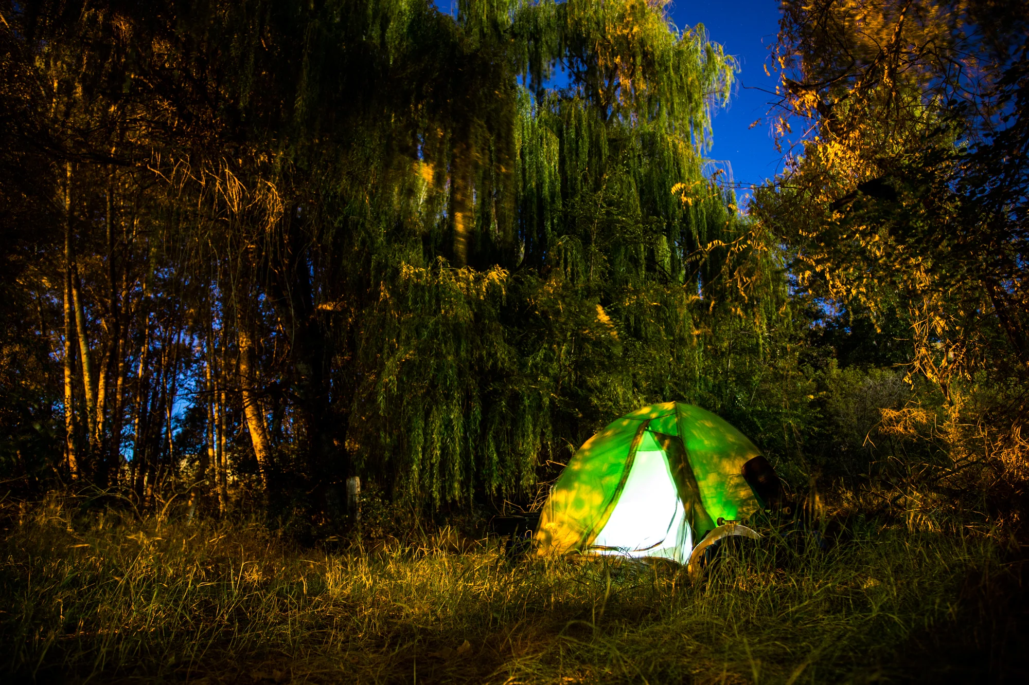 sleeping hidden in the bushes in the middle of Kelowna