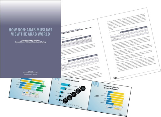 NonArabMuslims-portfolio.jpg