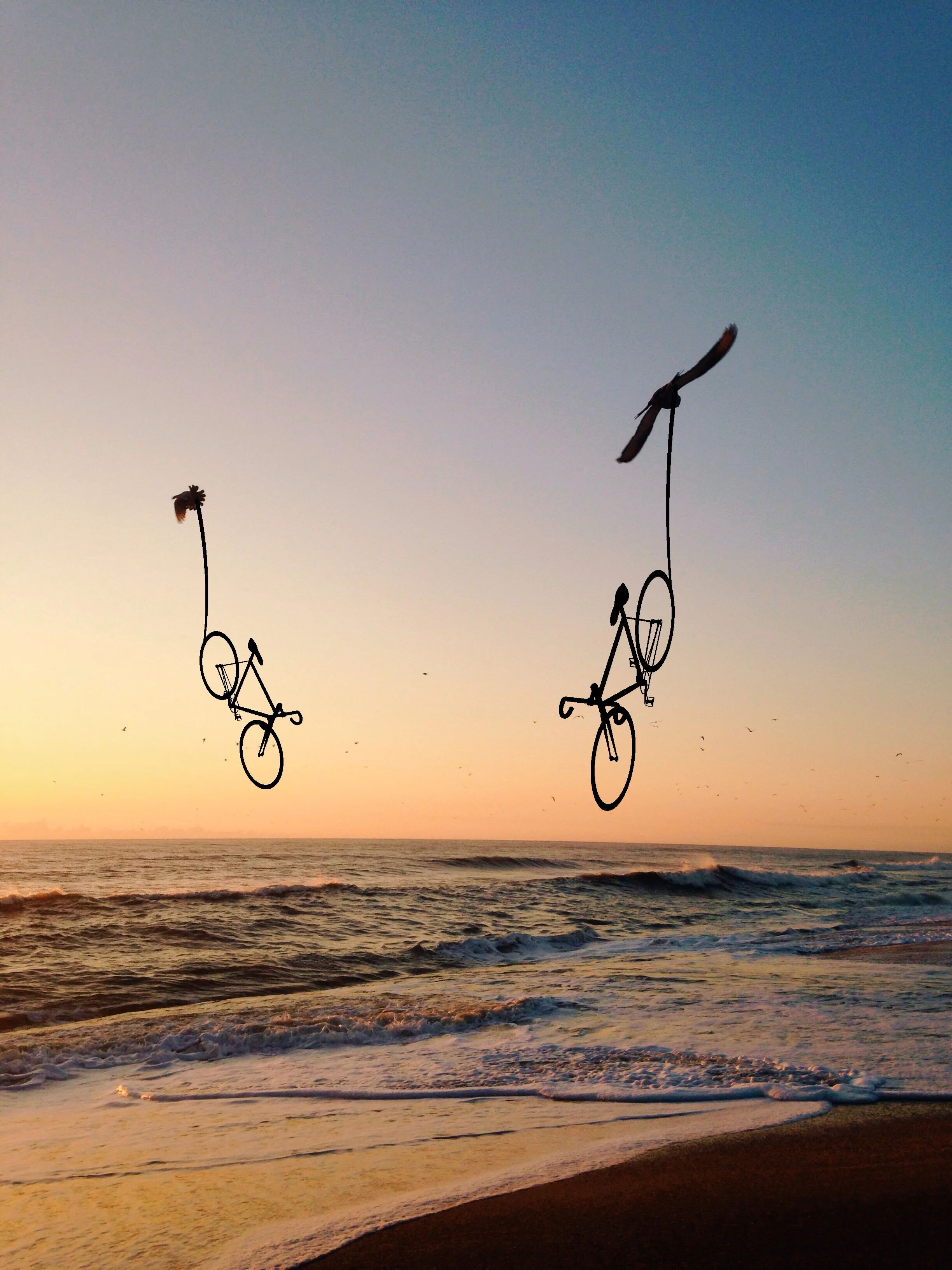 Bicycle Messengers.JPG