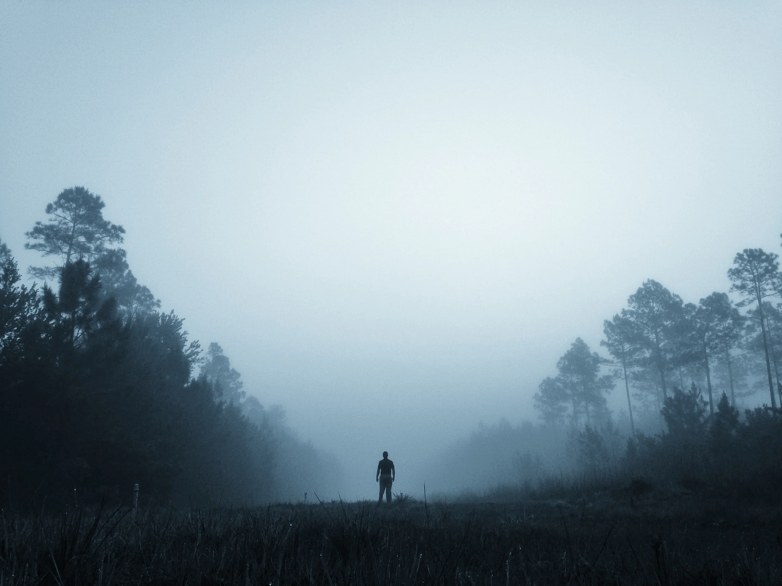 Lost in the Fog.JPG