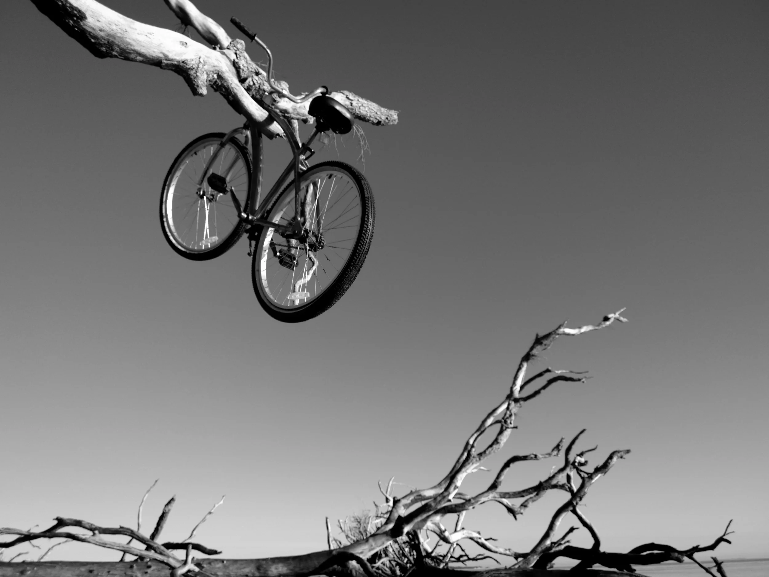 2014_03_08_07_43_02_ProShot.jpg