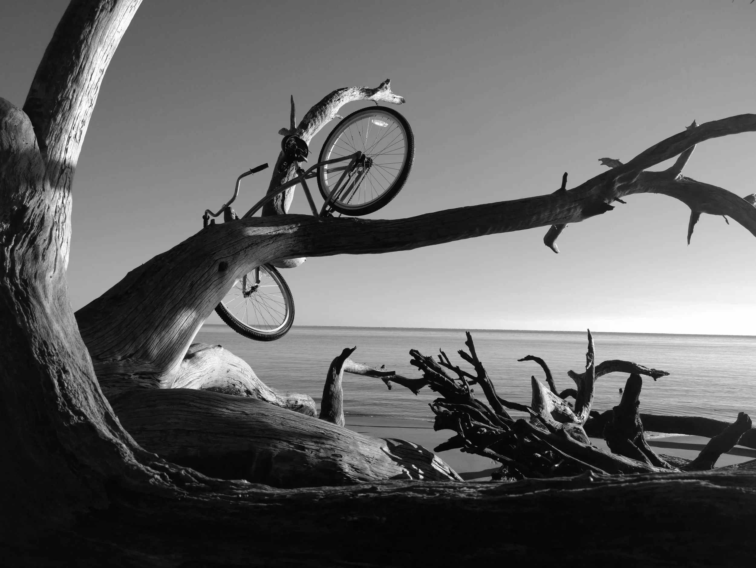 2014_03_08_07_47_18_ProShot.jpg