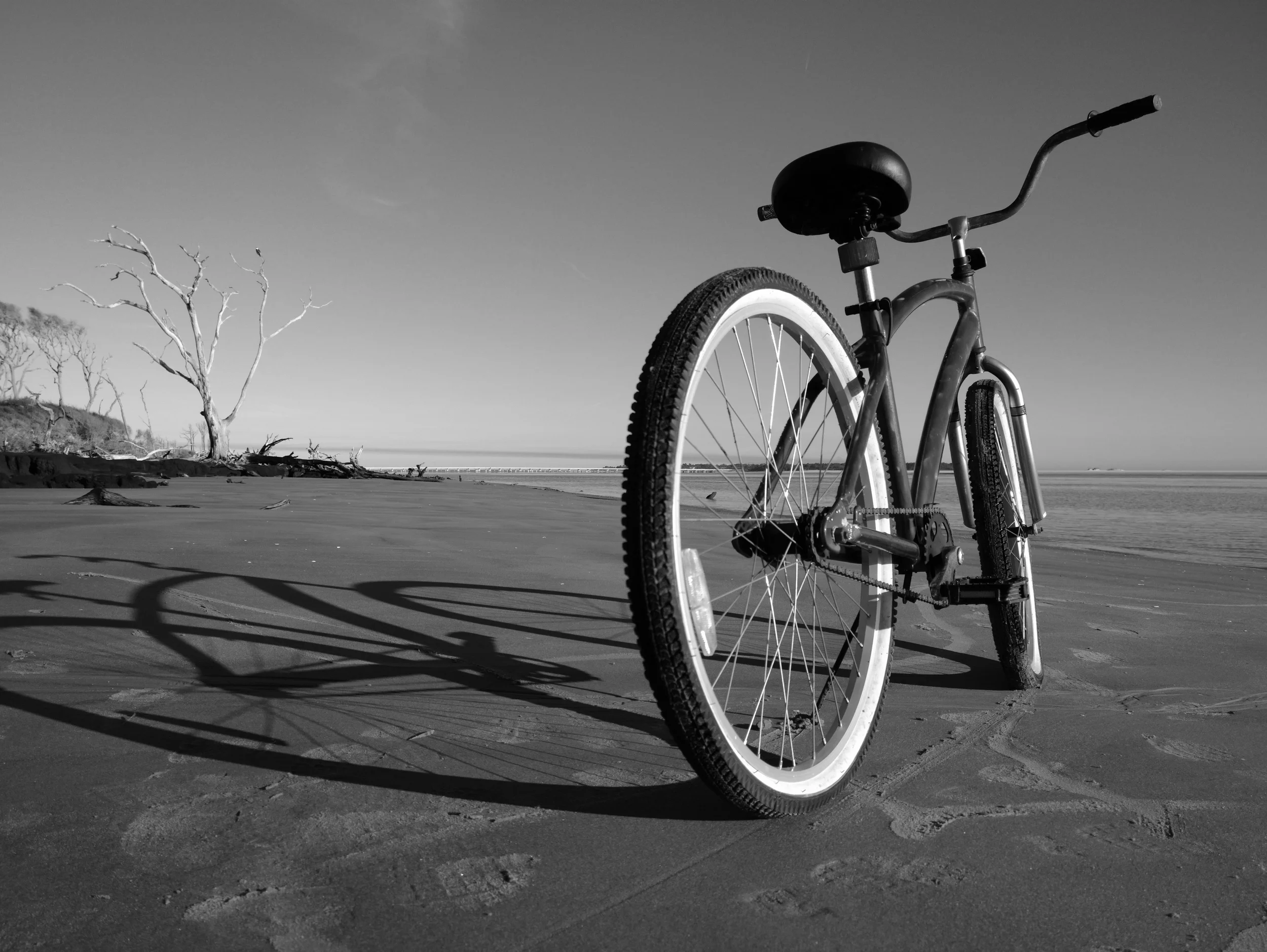 2014_03_08_08_04_01_ProShot.jpg