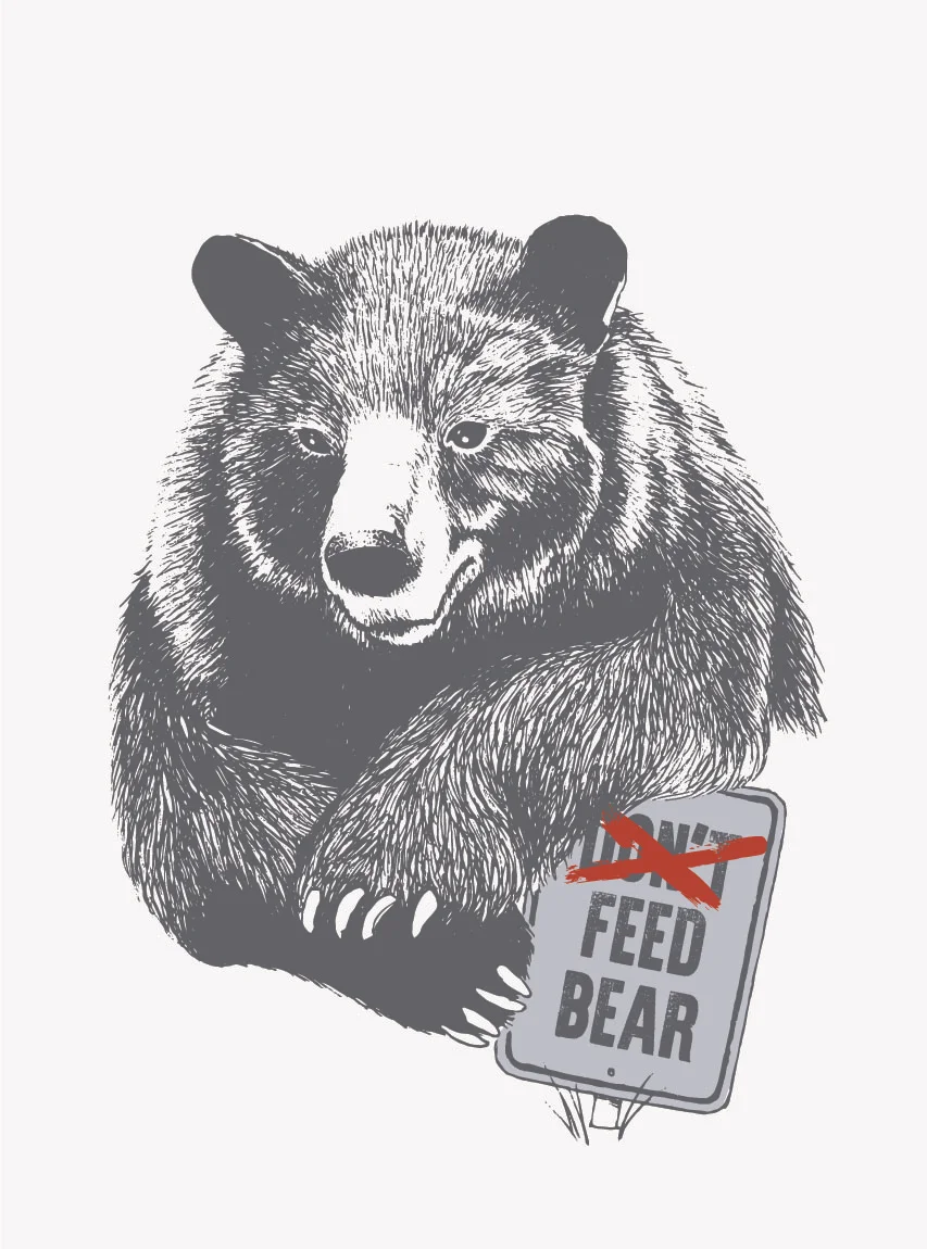 feed bear.jpg