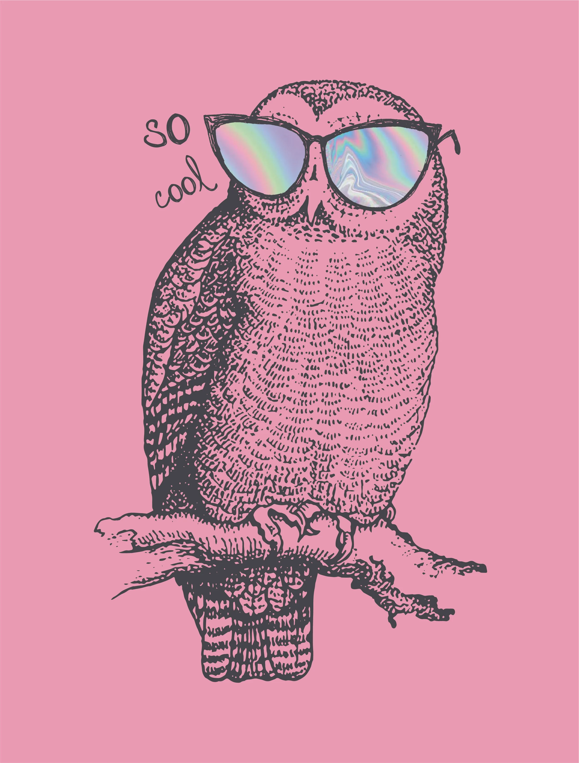 owl.jpg