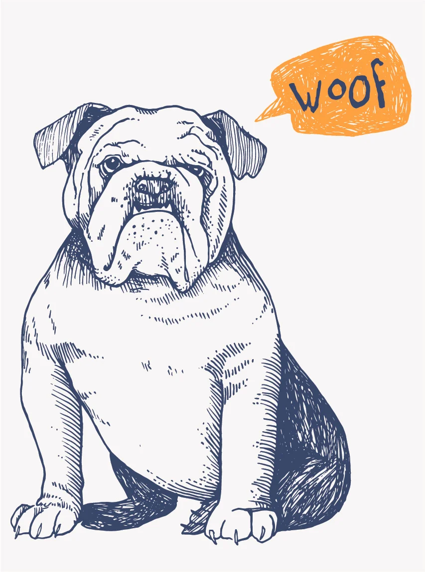 bulldog.jpg