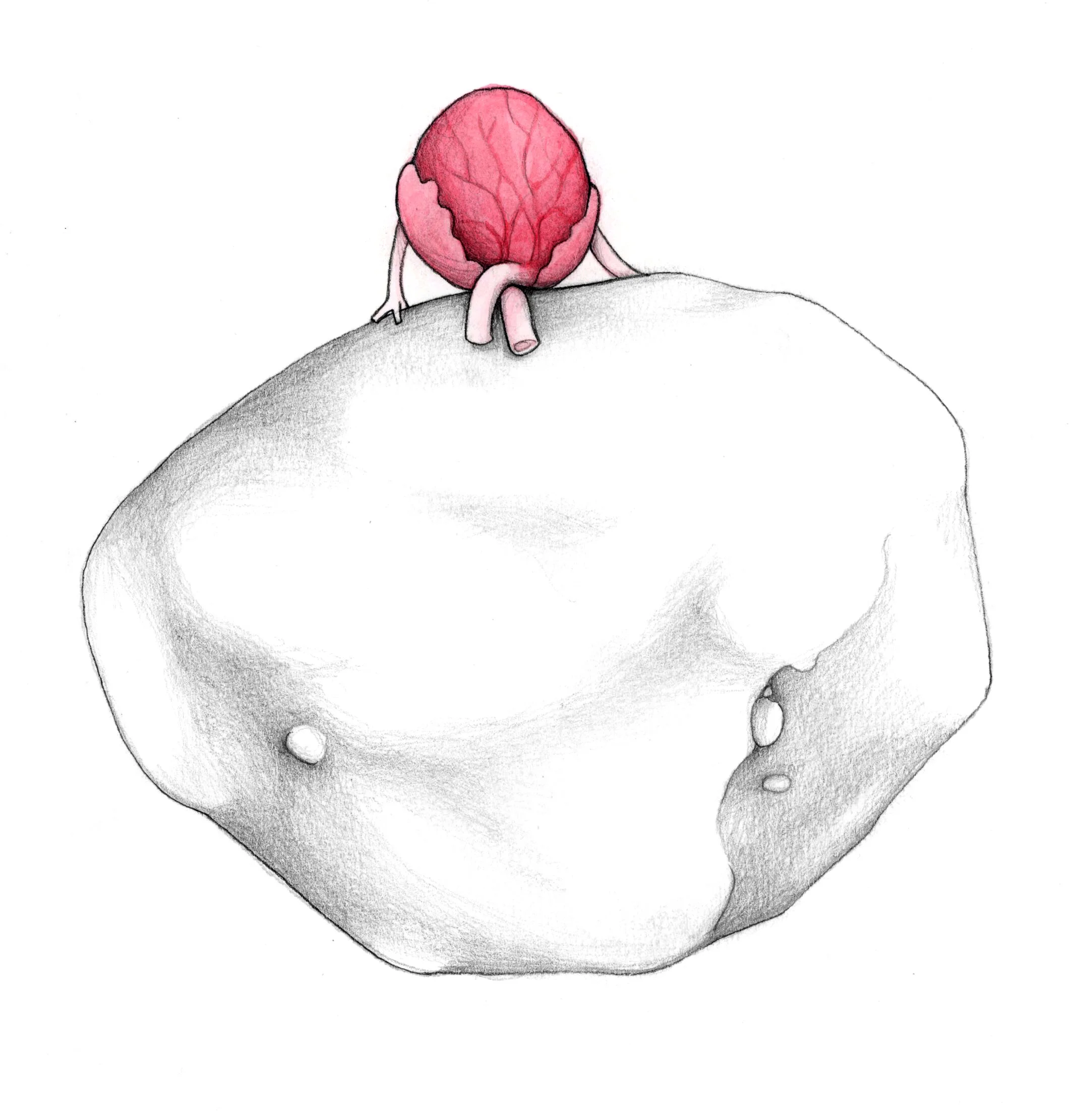 our work as our rock.jpg