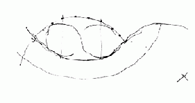 c7ef5e69cb0261b12658d70761730bf2.gif