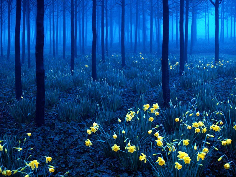 amazing_places_13.jpg