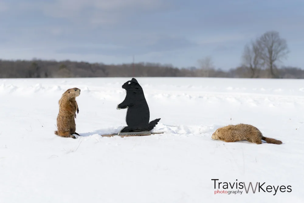 TKeyes_TWKP~February 01, 20150067.jpg