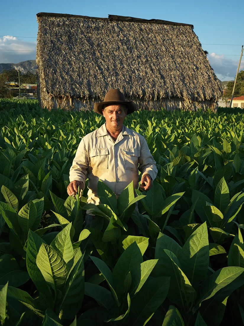 Vinales-Cuba-Hasselblad-2-18-_B_9999280.jpg