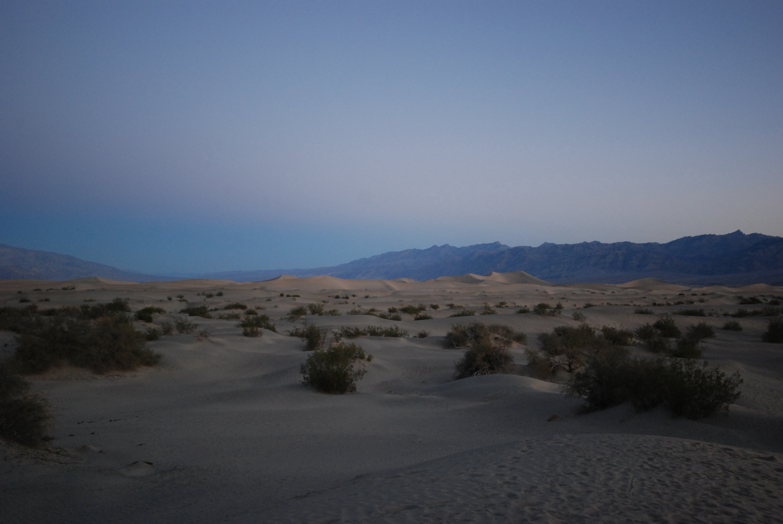 death valley dunes morning.jpg