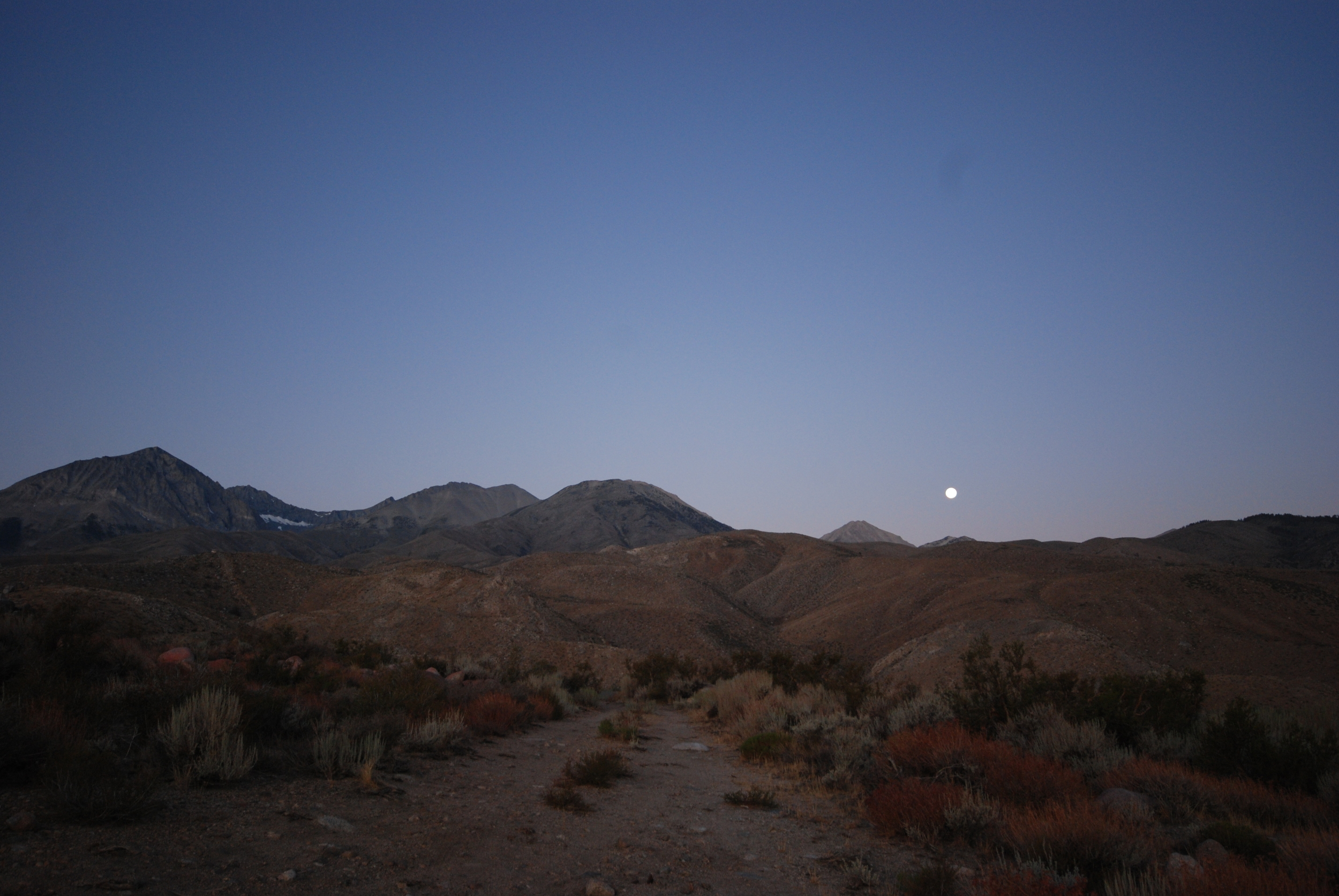 moon setting over sierra.jpg