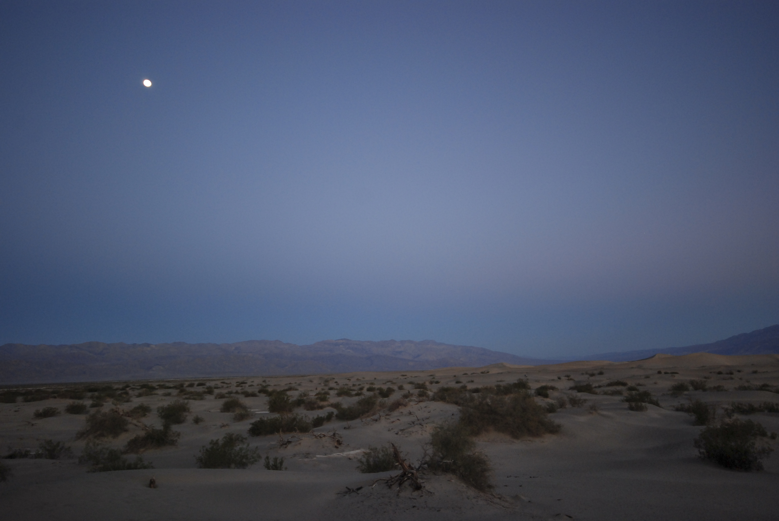 dunes & moon horizontal.jpg